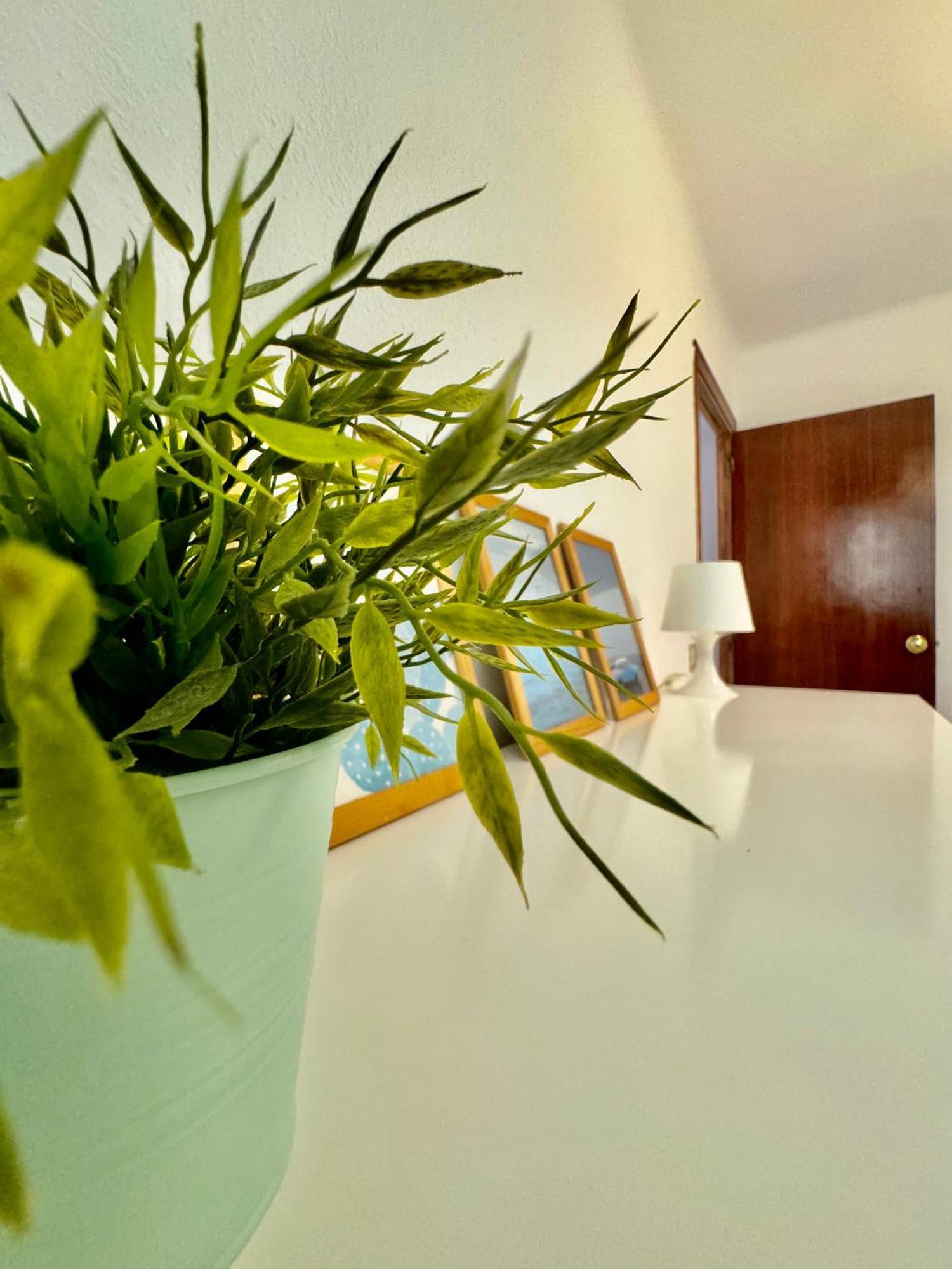 Acogedor Apartamento En مالقة المظهر الخارجي الصورة